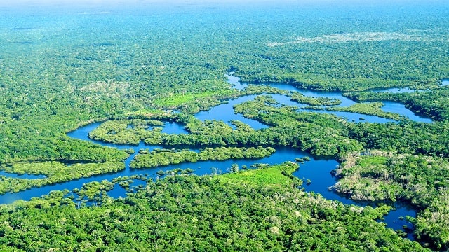 Amazon Rainforest, Brazil