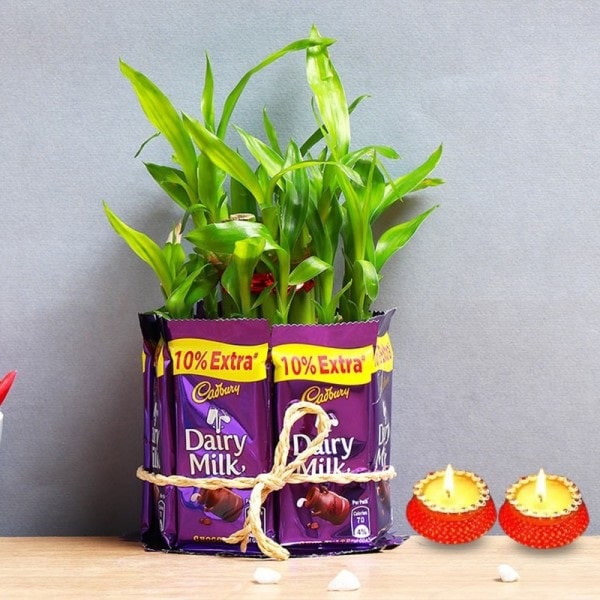 Lucky Diwali Gifts with plants