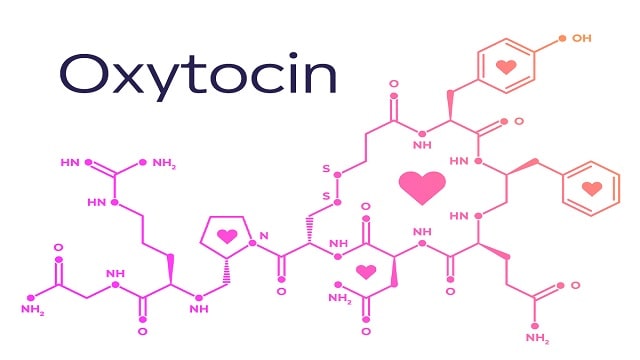 oxytocin