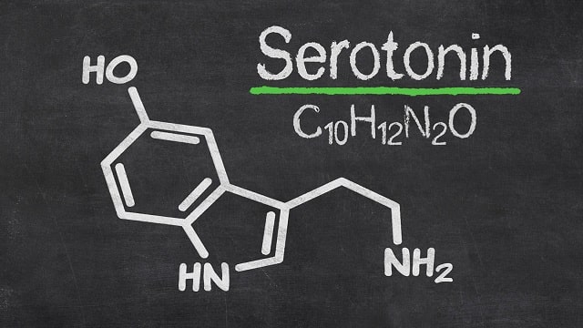 serotonin