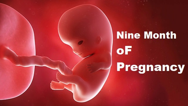 Nine Month Pregnancy