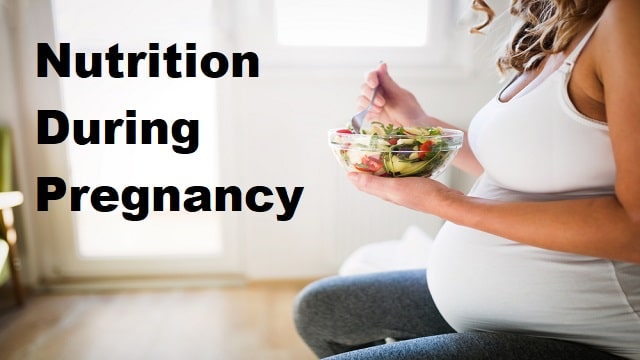 Nutrition During Pregnancy