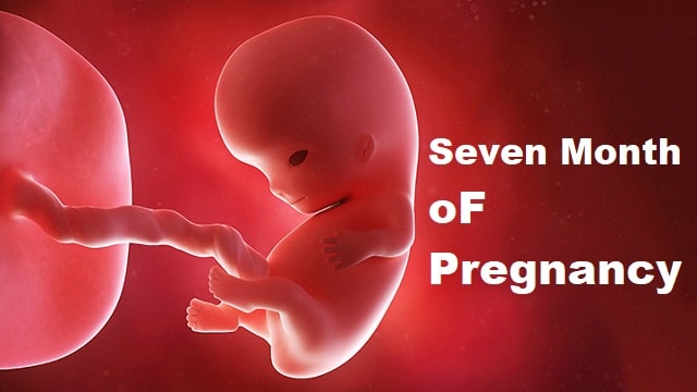 Seven Month Pregnancy