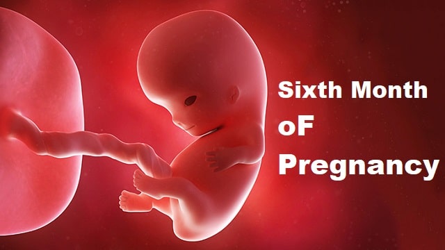 Sixth Month Pregnancy