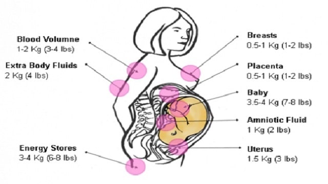 The Number Of Kilograms Accumulated During Pregnancy