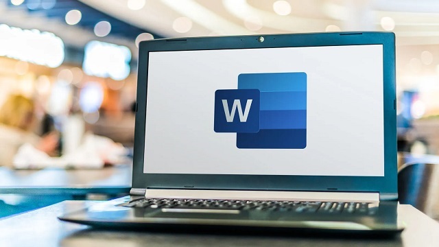 Microsoft Word Meaning