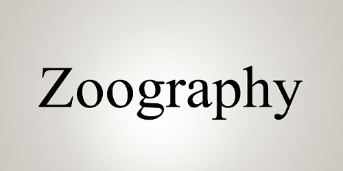 Zoography Meaning