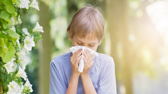 Allergies in Children