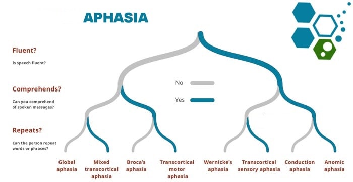 Aphasia