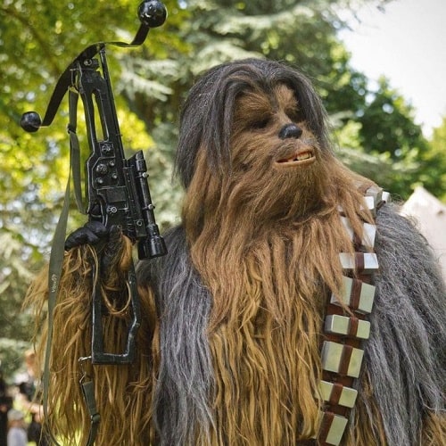 Chewbacca