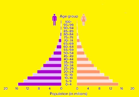 Example of a progressive population pyramid