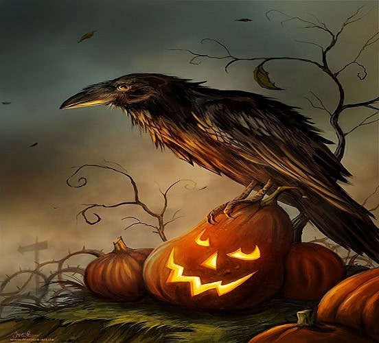 Halloween Crows