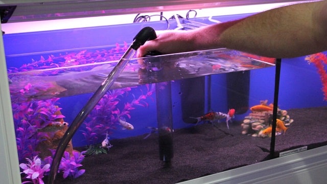 How To Change Aquarium Water