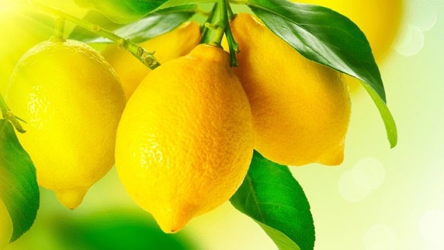 International Lemon Day