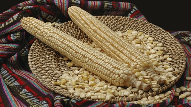 Jala Corn