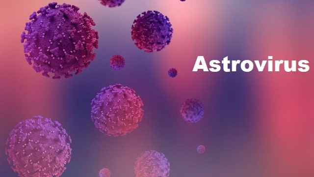 Astrovirus