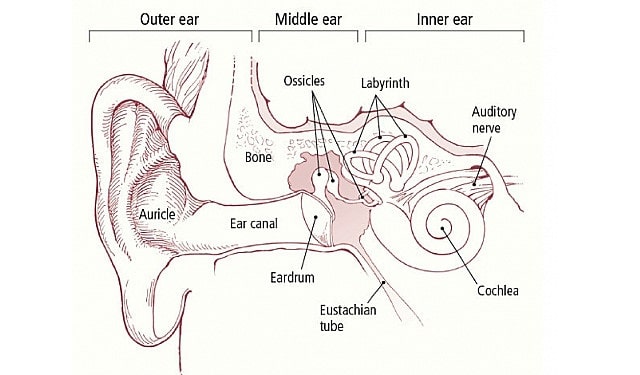 Barotrauma