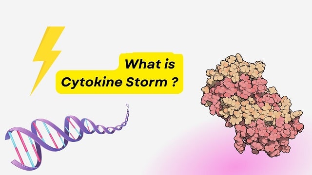 Cytokine Storm