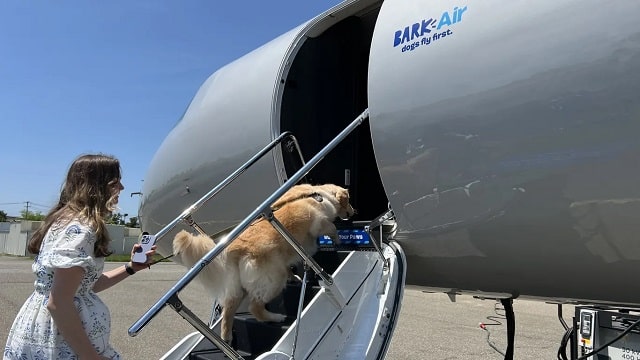 Plane and boat