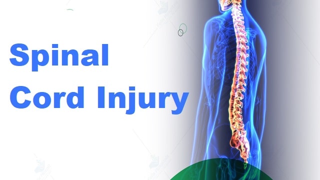 Spinal Cord Injury