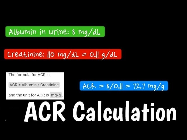 Urine Albumin-Creatinine Ratio (ACR)