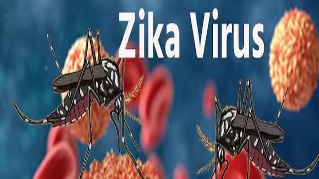 Zika Virus